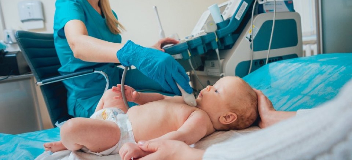 УЗИ щитовидной железы 